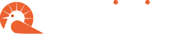 rapinics_logo